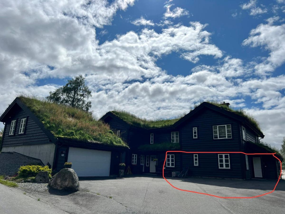 Flott Leilighet Pa Haugen I Sirdal Tjorhom Dış mekan fotoğraf