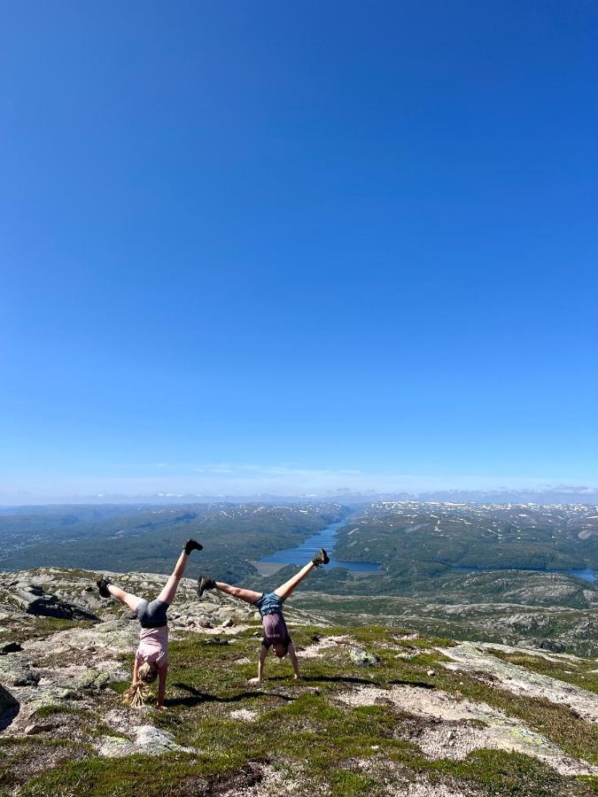 Flott Leilighet Pa Haugen I Sirdal Tjorhom Dış mekan fotoğraf