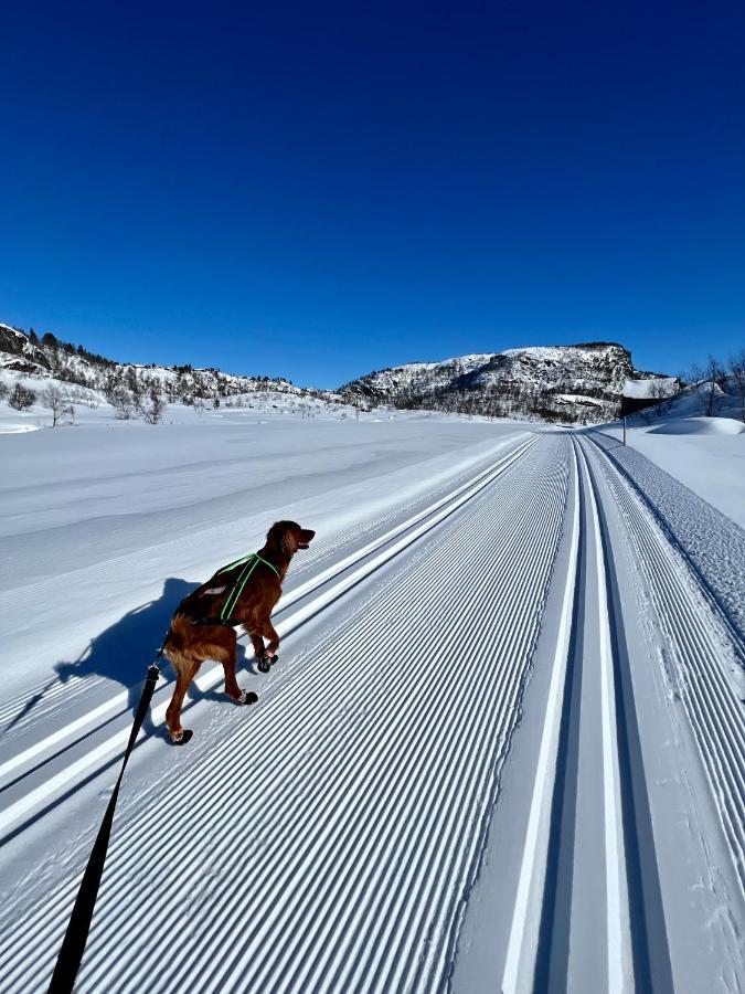 Flott Leilighet Pa Haugen I Sirdal Tjorhom Dış mekan fotoğraf
