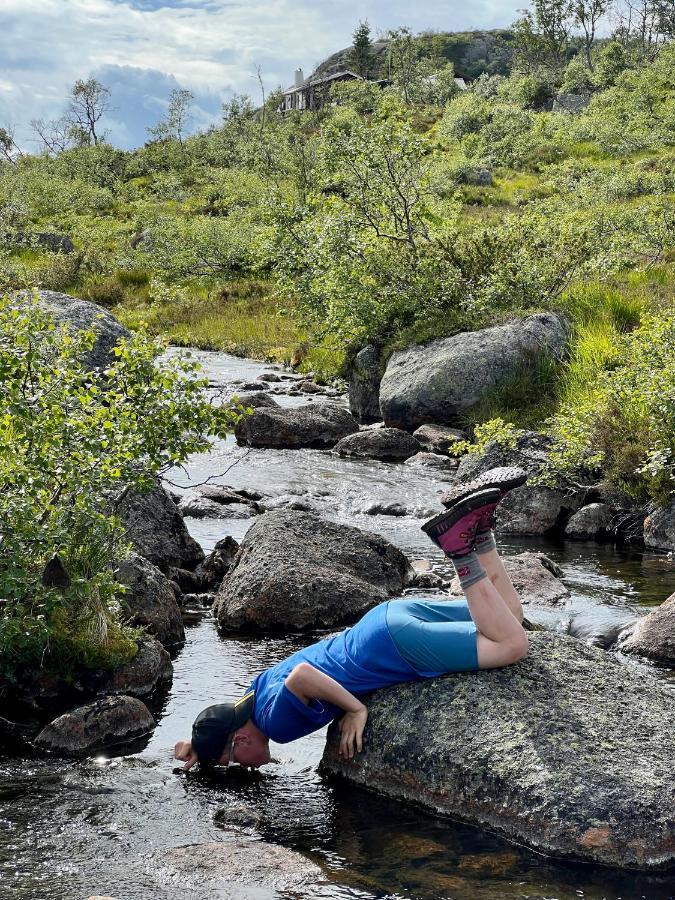 Flott Leilighet Pa Haugen I Sirdal Tjorhom Dış mekan fotoğraf