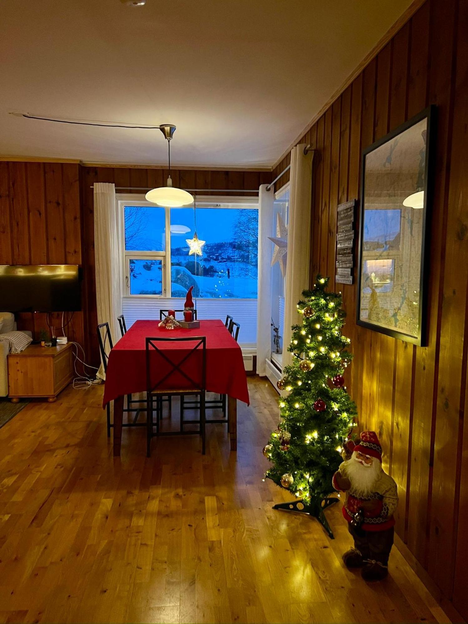 Flott Leilighet Pa Haugen I Sirdal Tjorhom Dış mekan fotoğraf