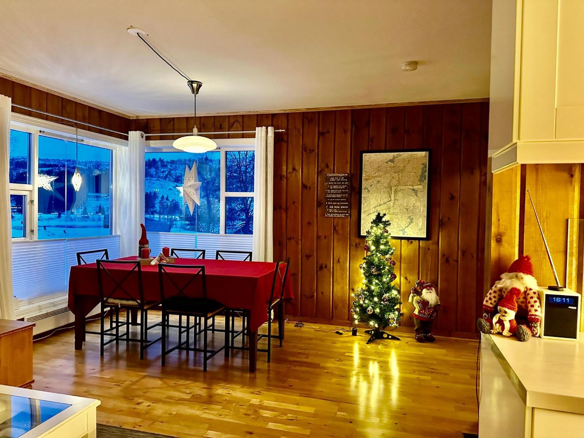Flott Leilighet Pa Haugen I Sirdal Tjorhom Dış mekan fotoğraf